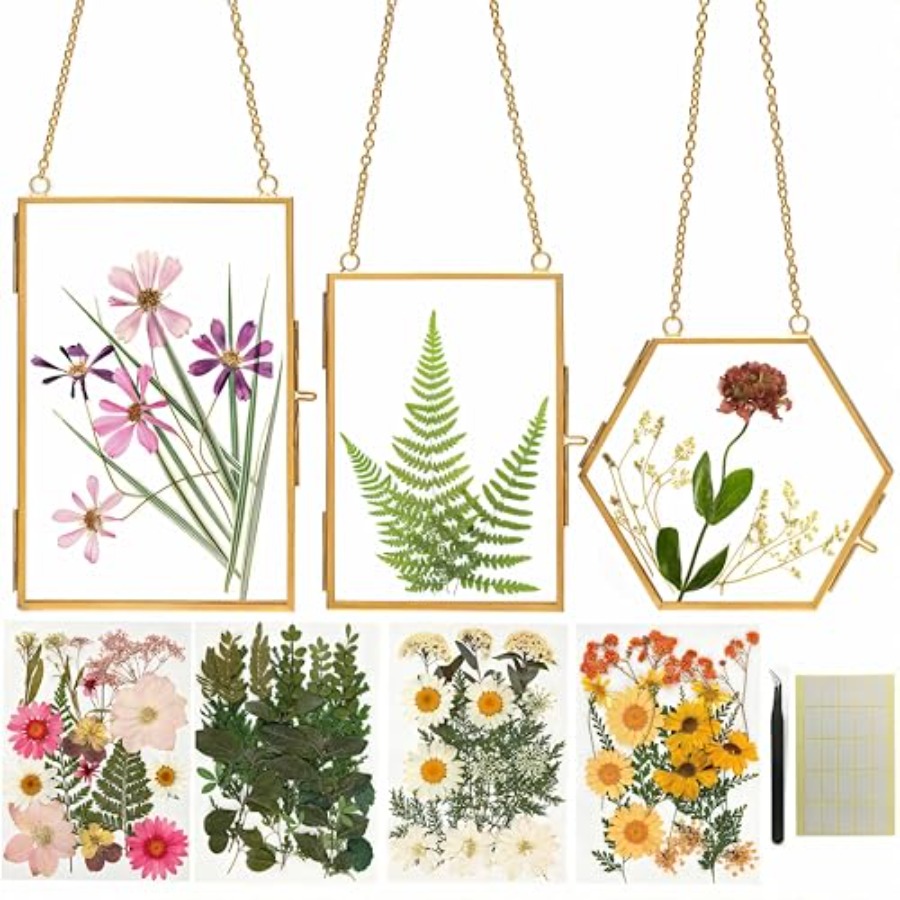 Pressed Flower Craft Kit for A - Pressed Flower Art review and price